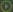 _cas_icon_start.png